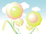 07.png